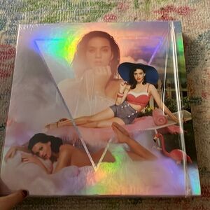 10th anniversary’s Katy Perry CATalog Collector’s Edition Boxset Vinyls.